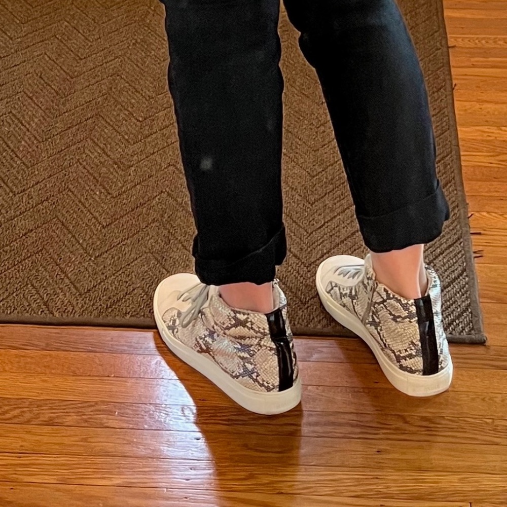 P448 Star High Top Sneaker - Picture 5 of 14